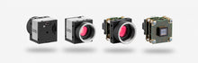 UI-1250SE-M-GL IDS Camera